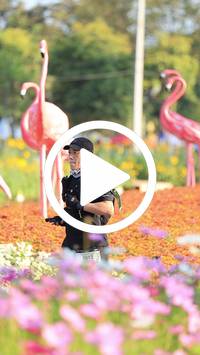 BIB:  <button type="button" onclick="openModal(27583371)" class="btn btn-primary btn-sm float-right" data-toggle="modal" data-target=".modal-high-quality">
                <i class="fa fa-download"></i> Download
                </button>